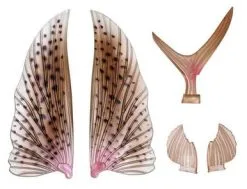 Nomad Designs Flying Fish 280 Wing Pack - Tiger