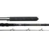 Penn Carnage II Boat Rods -Saltwater Rods & Poles Sales penn carnage ii boat rods 83593.1651033447