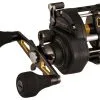 Penn Fathom II Level Wind Reels -Saltwater Rods & Poles Sales penn fathom ii level wind reels 82109.1651033536