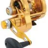 Penn Torque Lever Drag 2 Speed Reels -Saltwater Rods & Poles Sales penn torque lever drag 2 speed reels 03923.1650815081