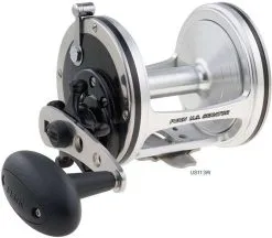 Penn US Senator Casting Reels -Saltwater Rods & Poles Sales penn us senator casting reels 58520.1650815105