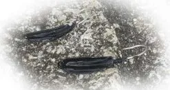 Point Jude Lures Point Jude Jig Heads