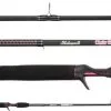Shakespeare Ugly Stik GX2 Ladies Casting And Spinning Rods 2 Shakespeare Ugly Stik GX2 Ladies Casting And Spinning Rods -Saltwater Rods & Poles Sales shakespeare ugly stik gx2 ladies casting and spinning rods 32413.1650782286