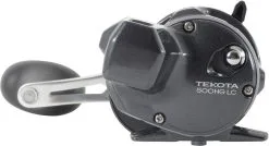 Shimano Tekota Levelwind Conventional Reels 11 Shimano Tekota Levelwind Conventional Reels -Saltwater Rods & Poles Sales shimano tekota levelwind reels 26874.1651006806