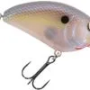 Spro John Crews Little John MD 50 Crankbait - Spooky Nasty 1 Spro John Crews Little John MD 50 Crankbait - Spooky Nasty -Saltwater Rods & Poles Sales spro sljm50spn john crews little john md 50 crankbait 58860.1671555351.386.513
