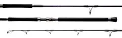 Temple Reef Ronin Spinning Rod
