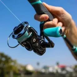 Toadfish Elite Carbon Series Spinning Reels -Saltwater Rods & Poles Sales toadfish elite carbon series spinning reels 97140.1665235123