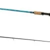 Tsunami Scale Tech Inshore Rods 2 Tsunami Scale Tech Inshore Rods -Saltwater Rods & Poles Sales tsunami scale tech inshore rod 44766.1673702510