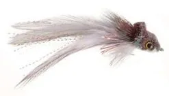 Umpqua Swimming Baitfish
