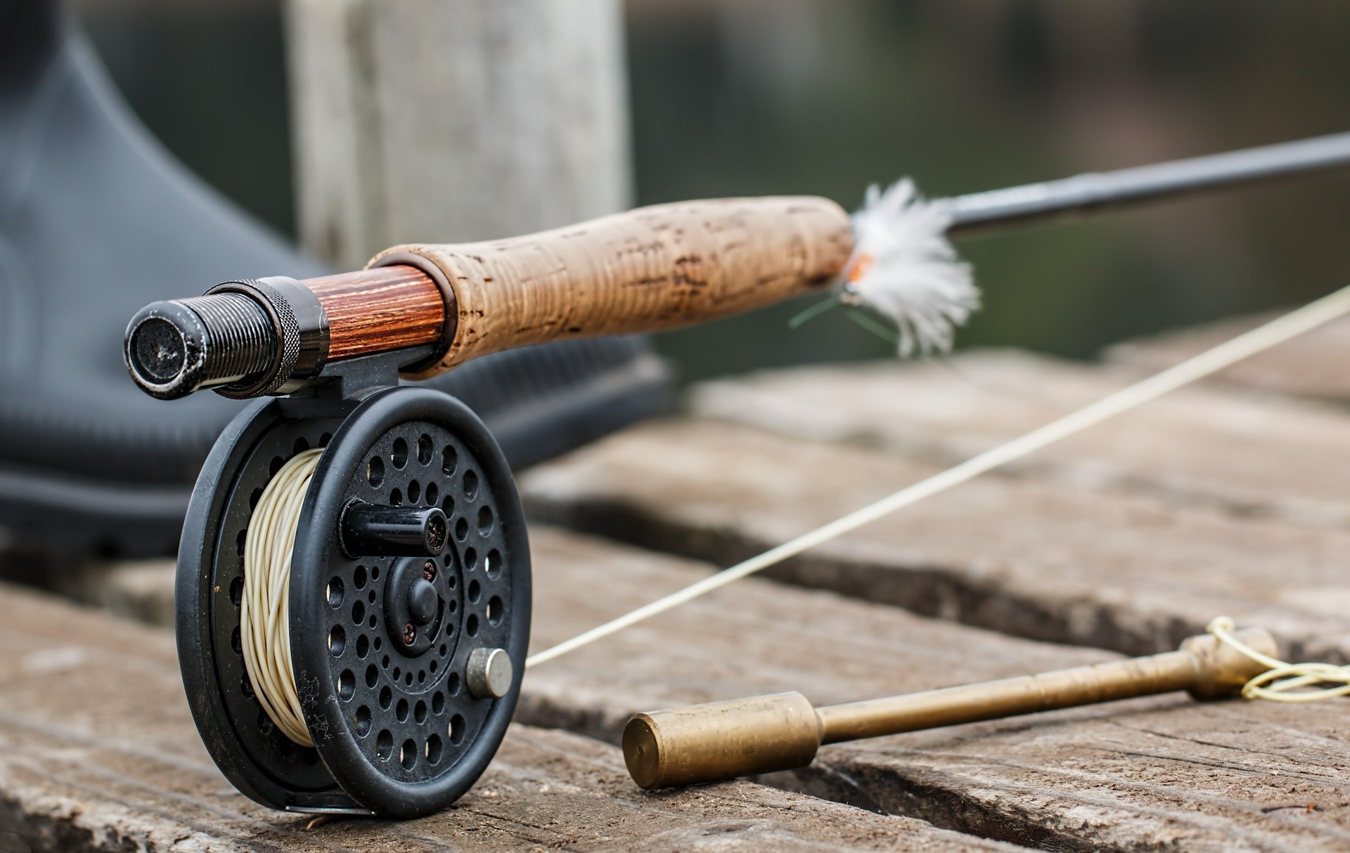 Saltwater Rods & Poles Sales -Saltwater Rods & Poles Sales fly fishing 474090 1920